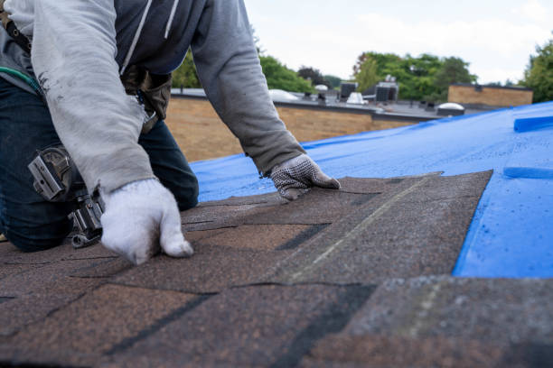 Roof Gutter Cleaning in Forestville, CA