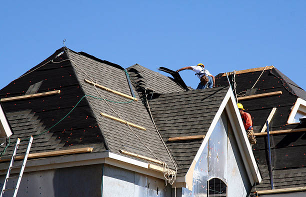 Best Shingle Roofing Installation  in Forestville, CA