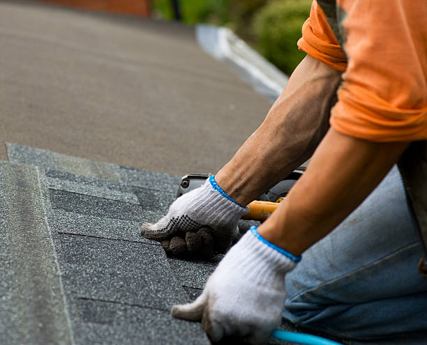 Best Local Roofing Companies  in Forestville, CA