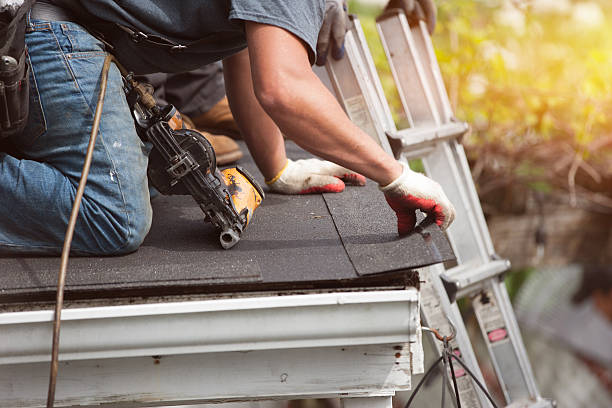 Best Local Roofing Companies  in Forestville, CA