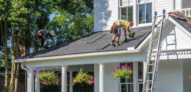 Professional Roofing Contractor in Forestville, CA